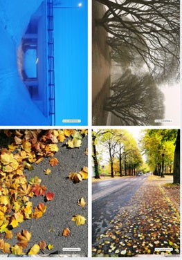 Millaista polkua kuljet?  Terapiakortit oman elämän pohdintaan